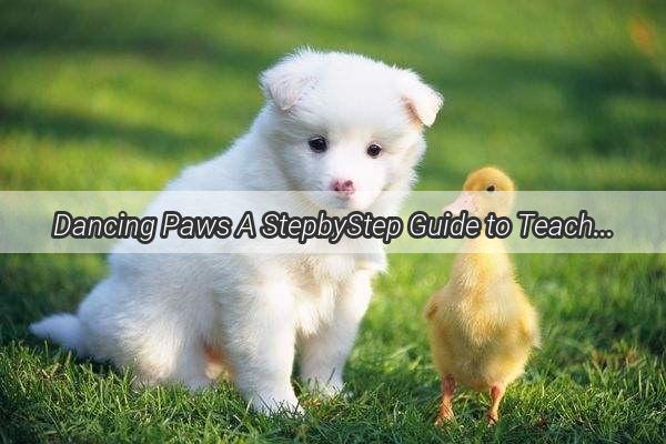 Dancing Paws A StepbyStep Guide to Teaching Your Dog Dance Moves